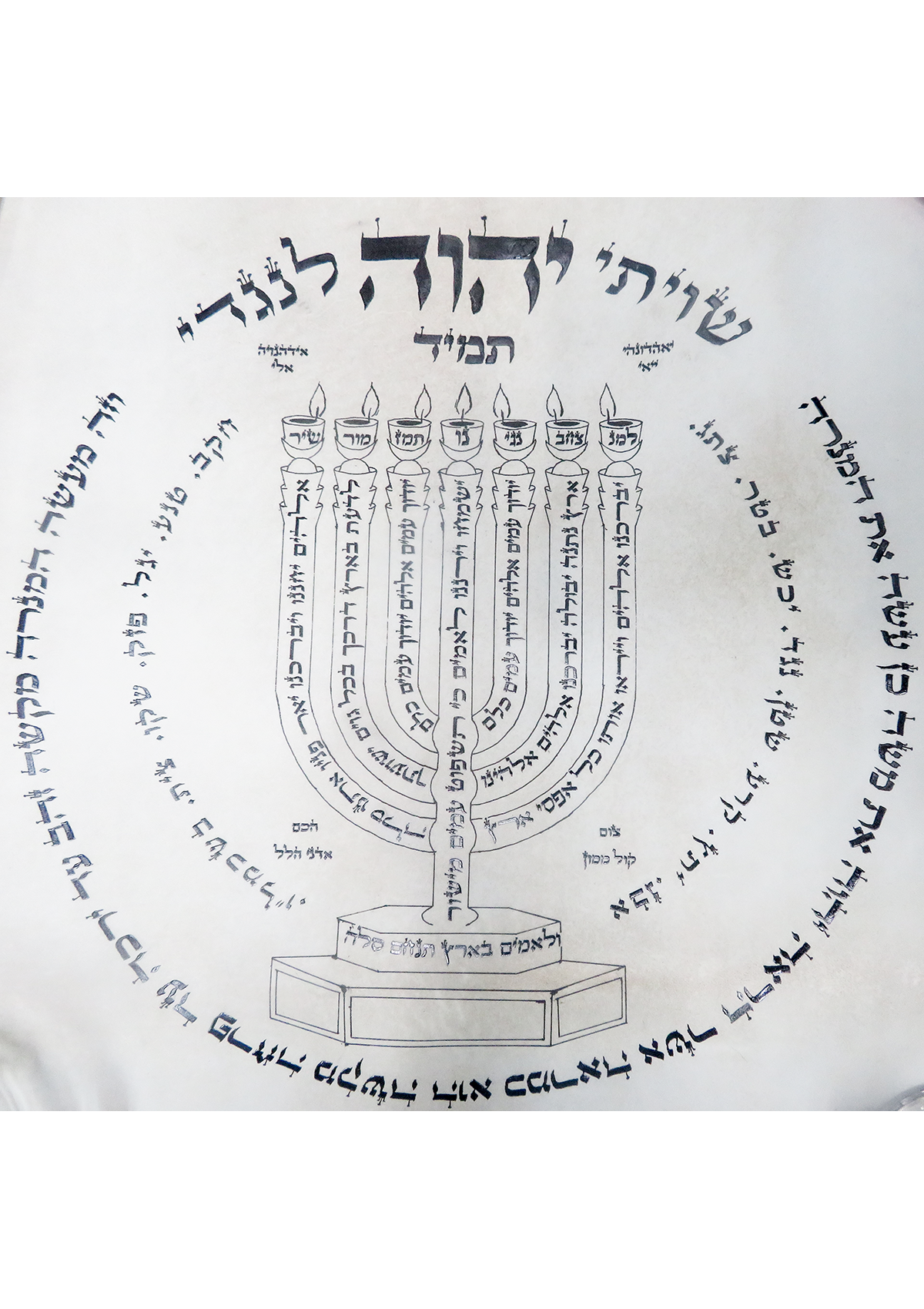 דף הקורסים