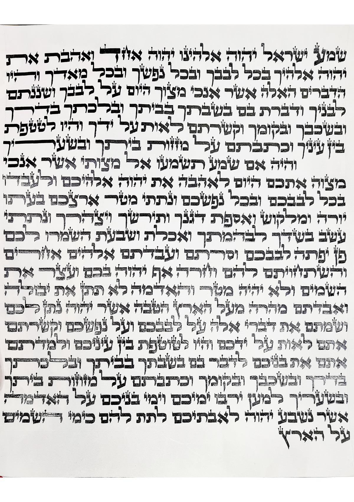 דף הקורסים