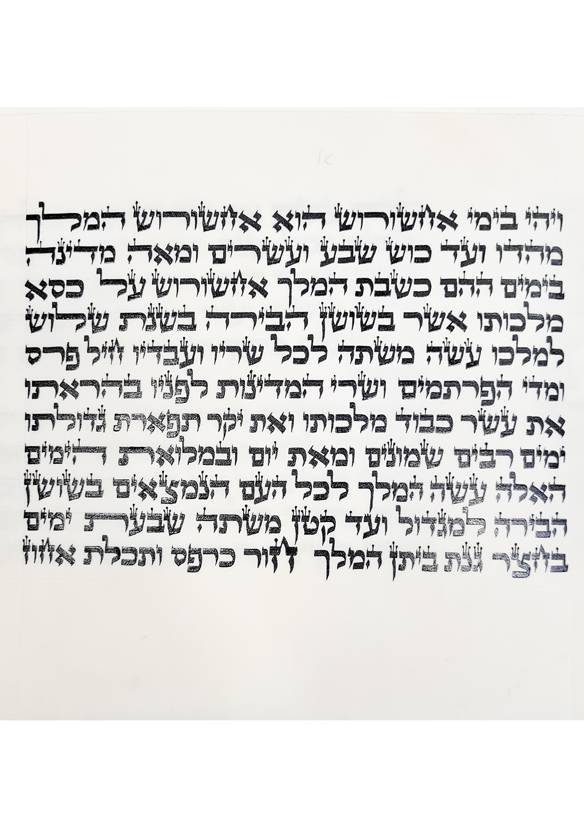 דף הקורסים