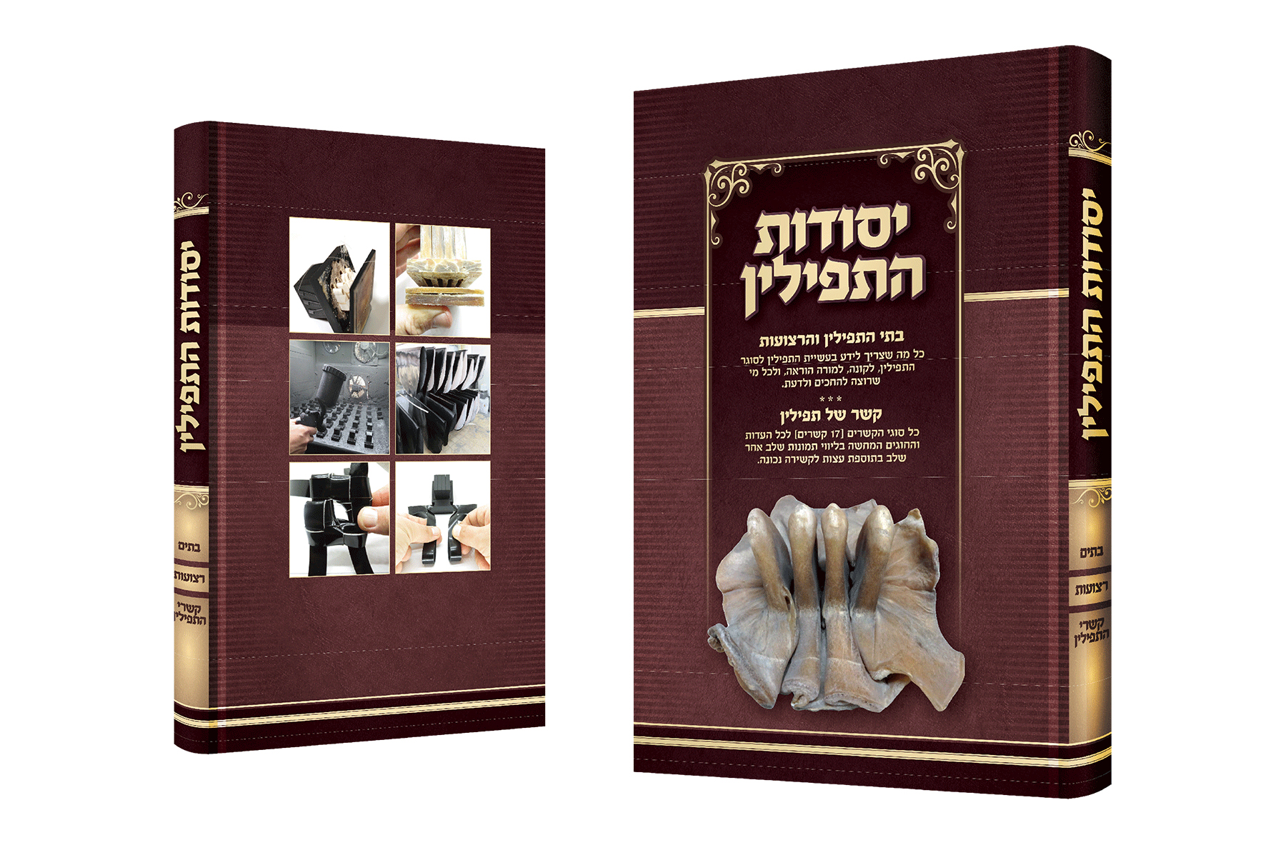 יסודות התפילין