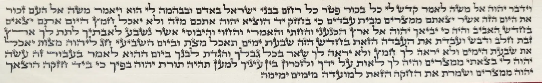 פרשיות תפילין שכתב תלמיד המכון